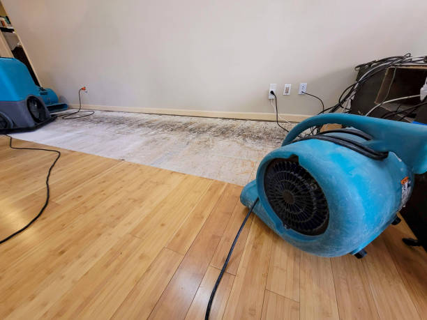 Professional Water Damage Repair technician working in Navarre, FL